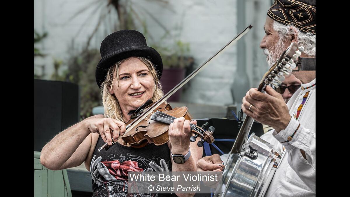 White Bear Violinist